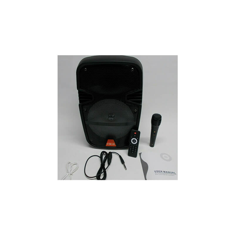Altoparlante Bluetooth Portatile (3a Generazione) con modalità Karaoke e  Microfono